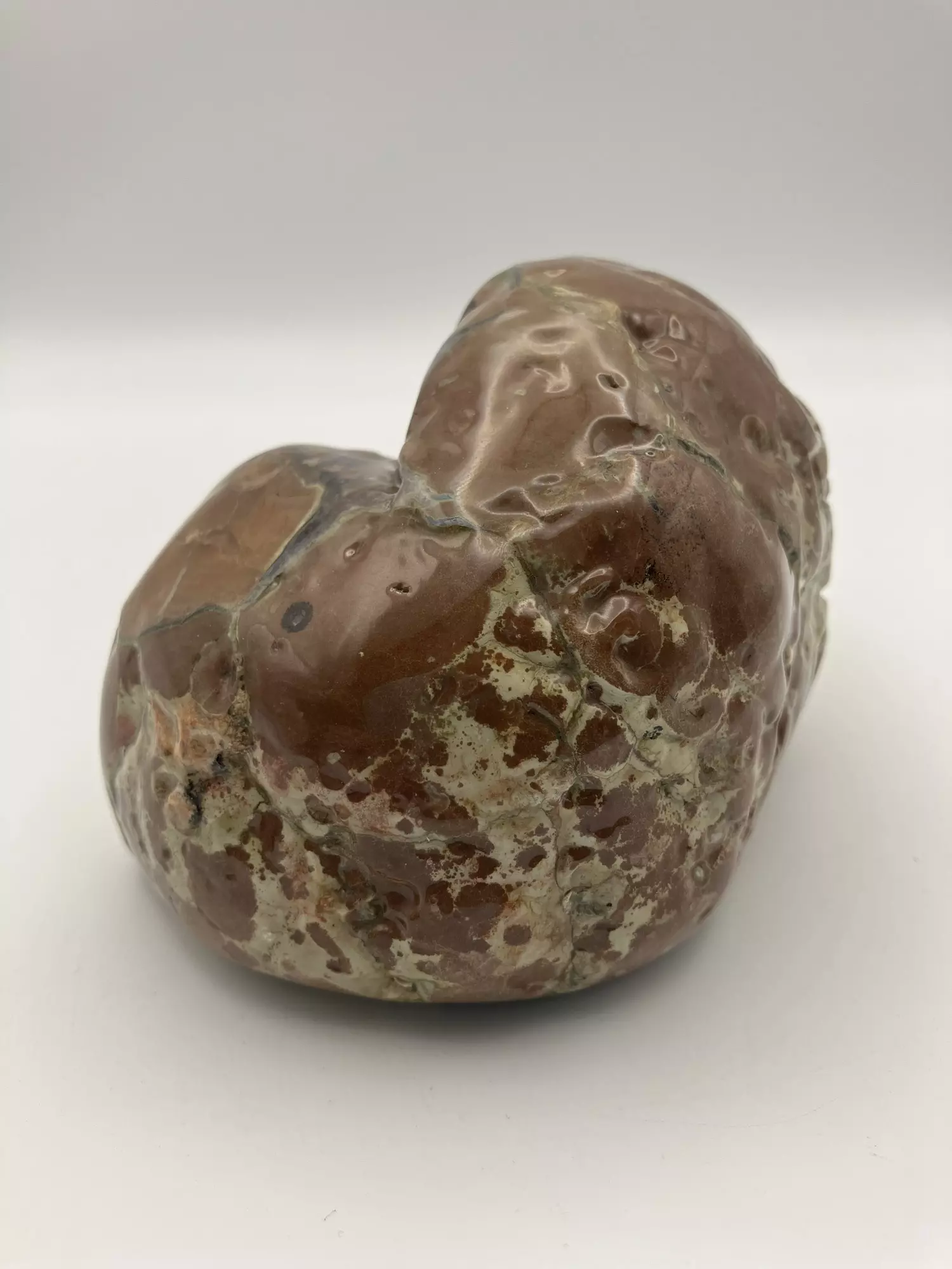 plant/Richardson’s Ranch Thunderegg - Opalized - Polished - 1lb 2oz-1