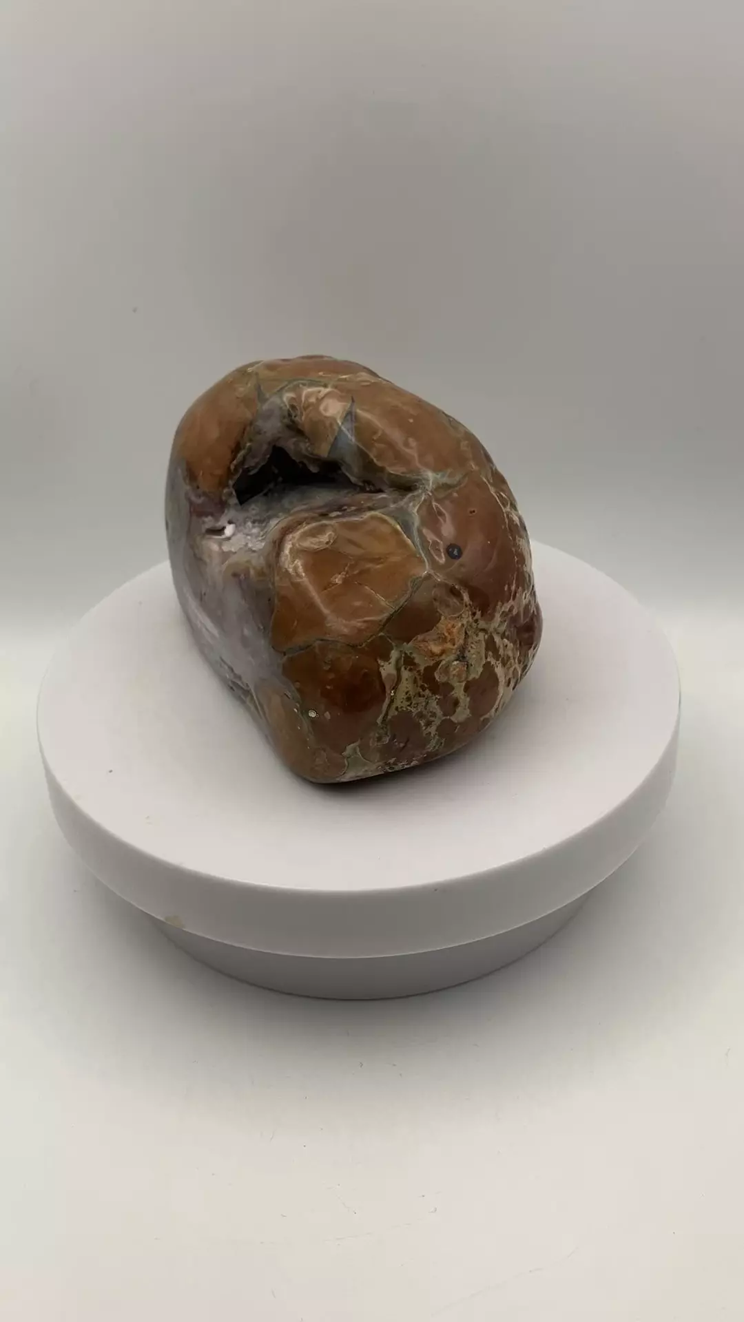 plant/Richardson’s Ranch Thunderegg - Opalized - Polished - 1lb 2oz-4