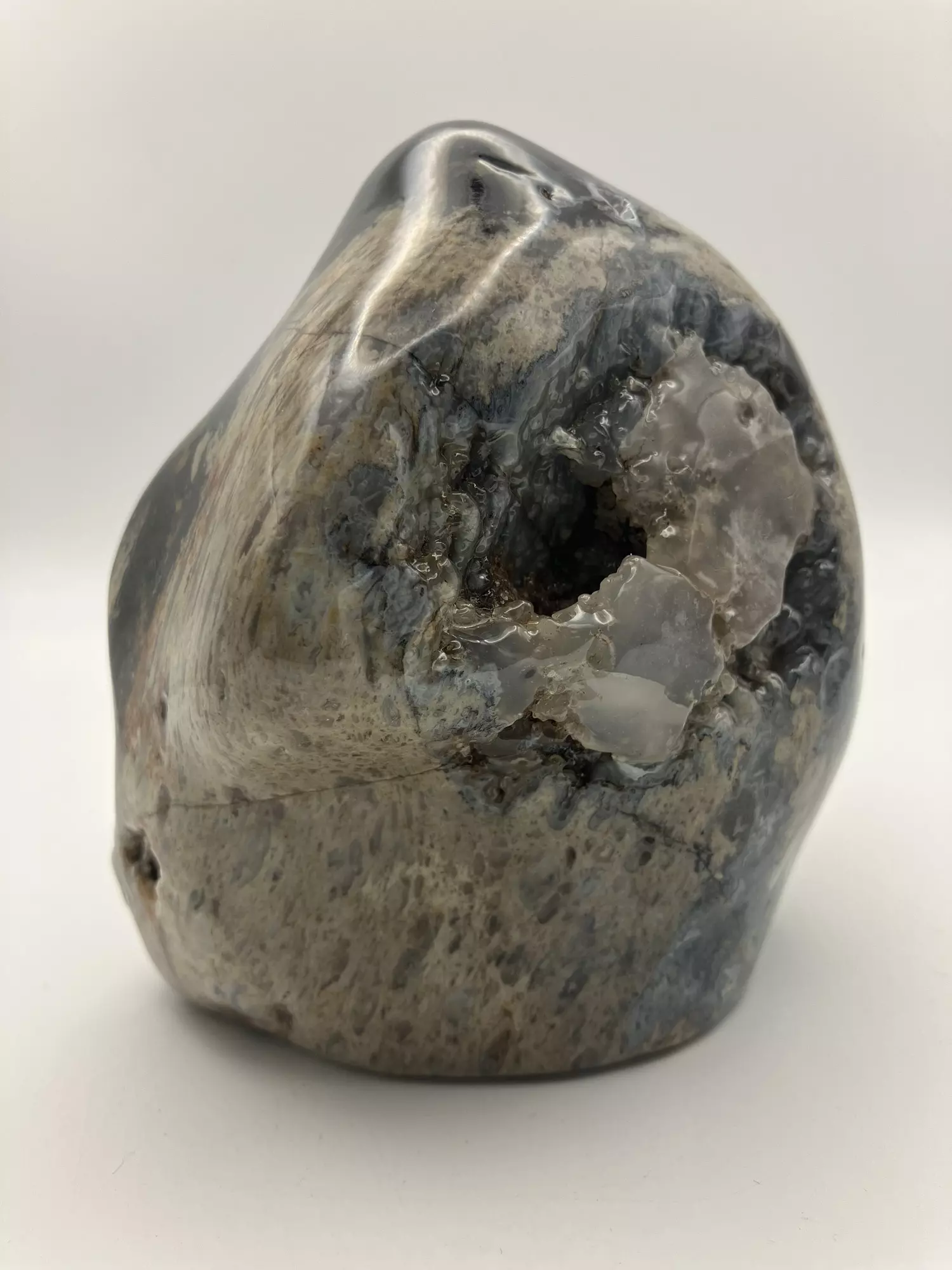 plant/Opalized Dino Bone - Polished - 1lb 14.70oz-0