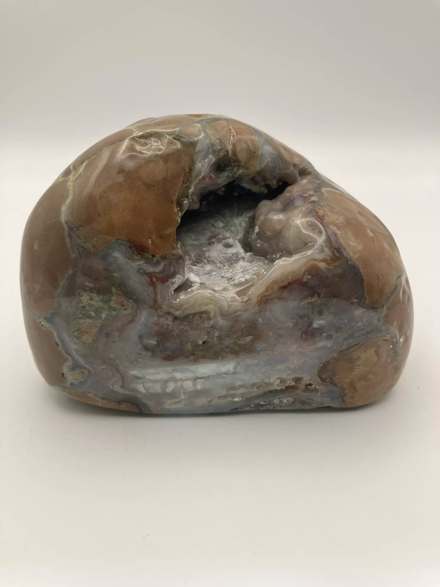 plant/Richardson’s Ranch Thunderegg - Opalized - Polished - 1lb 2oz-0