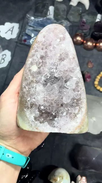plant/#3 Amethyst cut base-0