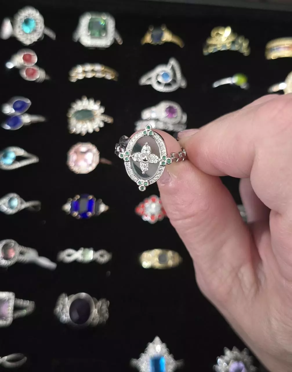 plant/BP Italy Collection-0