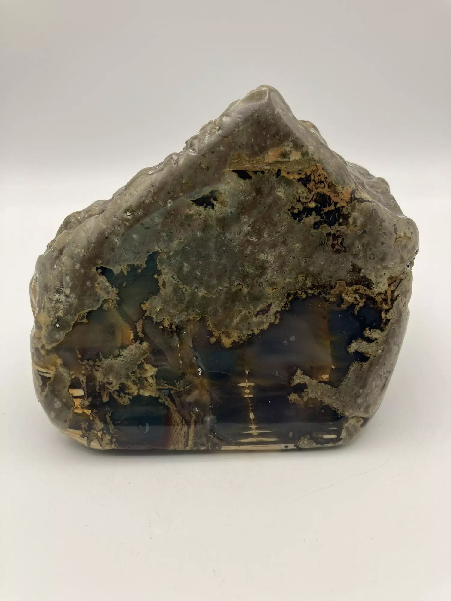 plant/Mcdermitt Agate - Opalized - Polished - 1lb 3.65oz-0