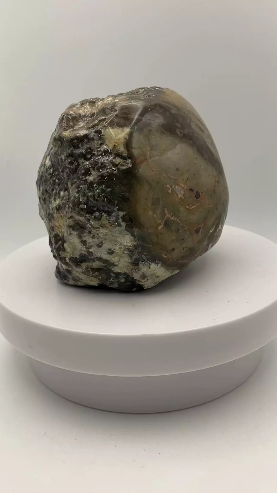 plant/Mcdermitt Agate - Opalized - Polished - 1lb 6.80oz-4