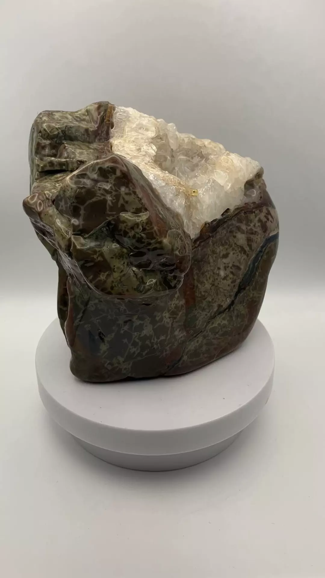 plant/Mcdermitt Agate - Opalized with Quartzite - Polished - 4lbs 10.30oz-4