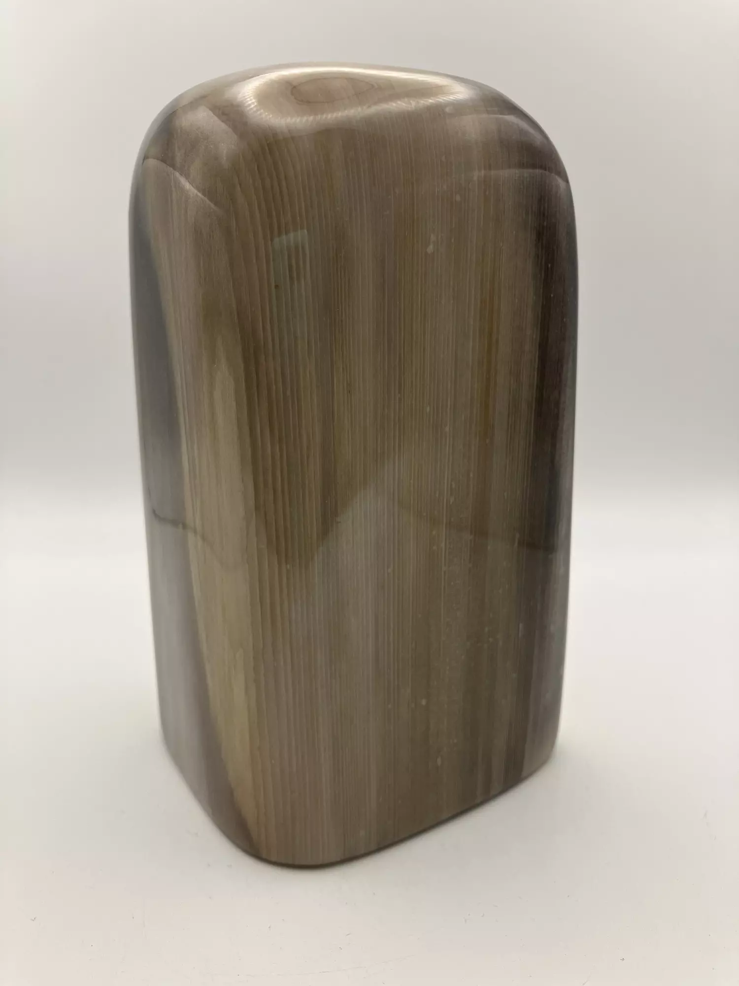 plant/Stinking Water Oak Petrified Wood - Agatized - Polished - 2lbs 1.10oz-0