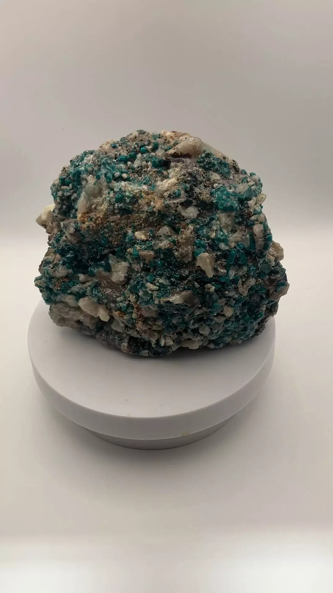 plant/Malachite with Quartzite - Polished - 2lbs 8.15oz-4