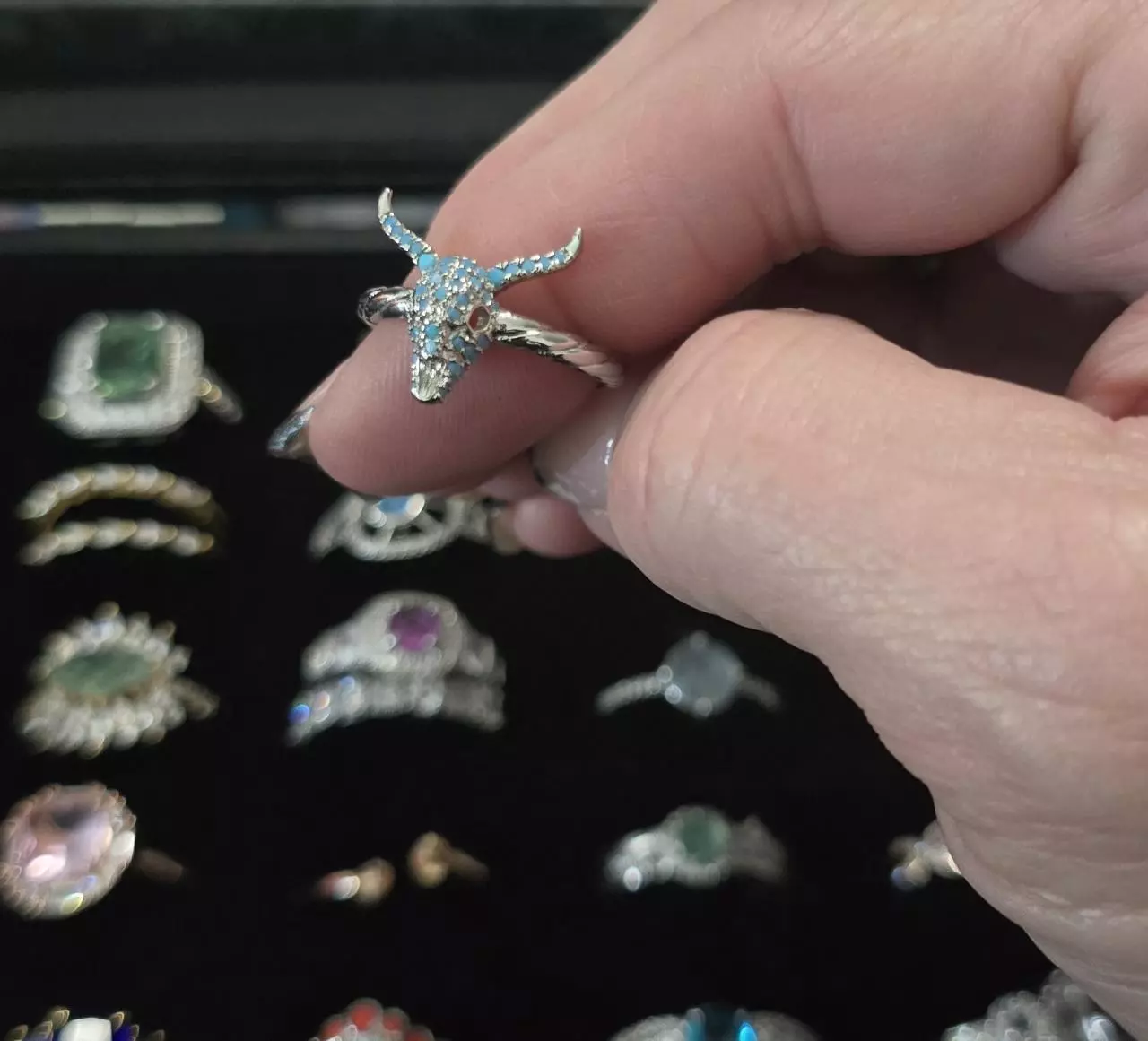 plant/BP Southwest Collection Lab Turquoise-0