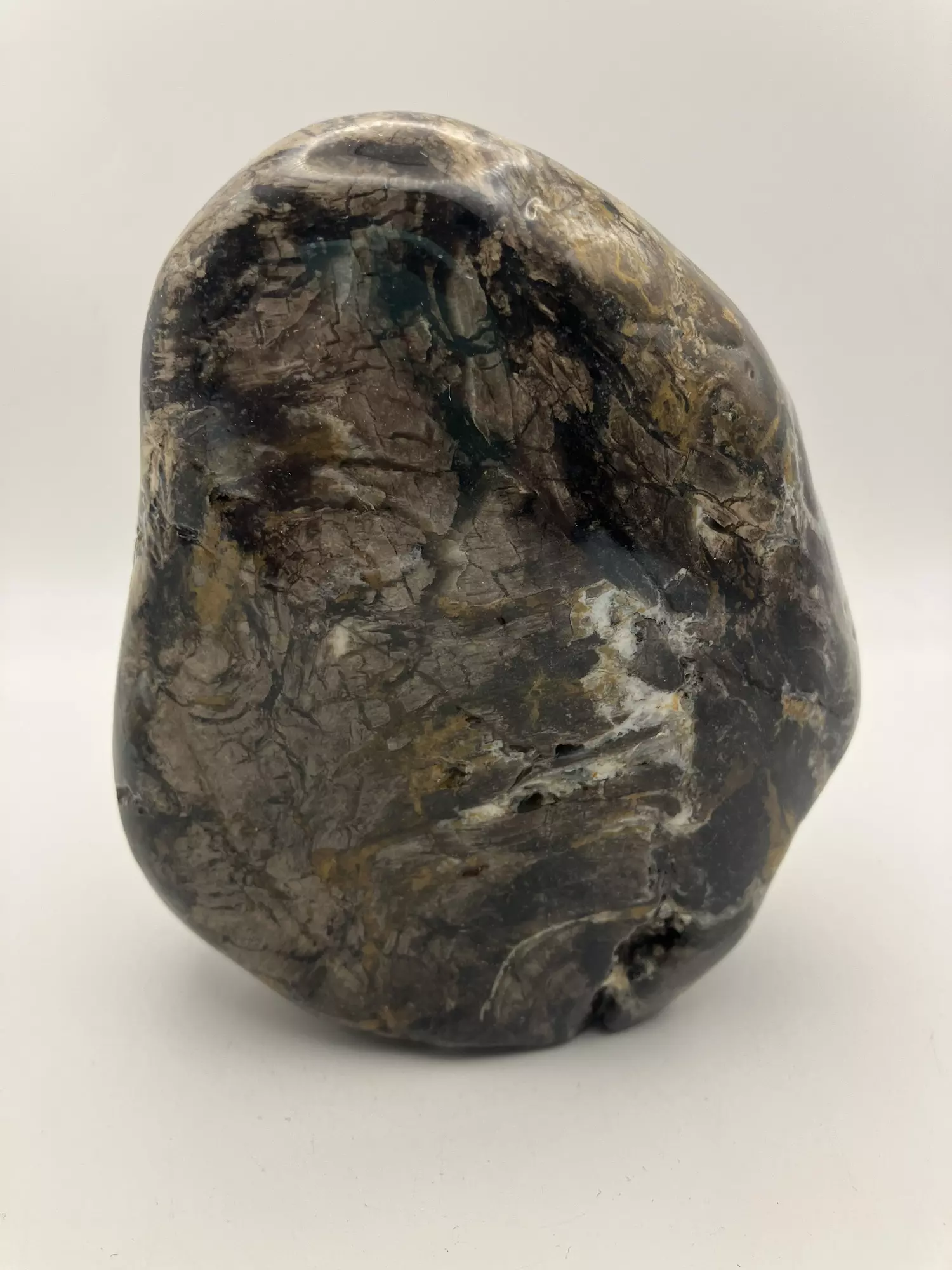 plant/Hampton Butte Petrified Wood - Agatized & Opalized - 1lb 13.85oz-0