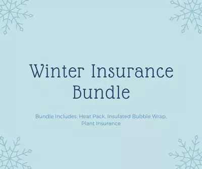 plant/Winter Insurance-0-thumbnail