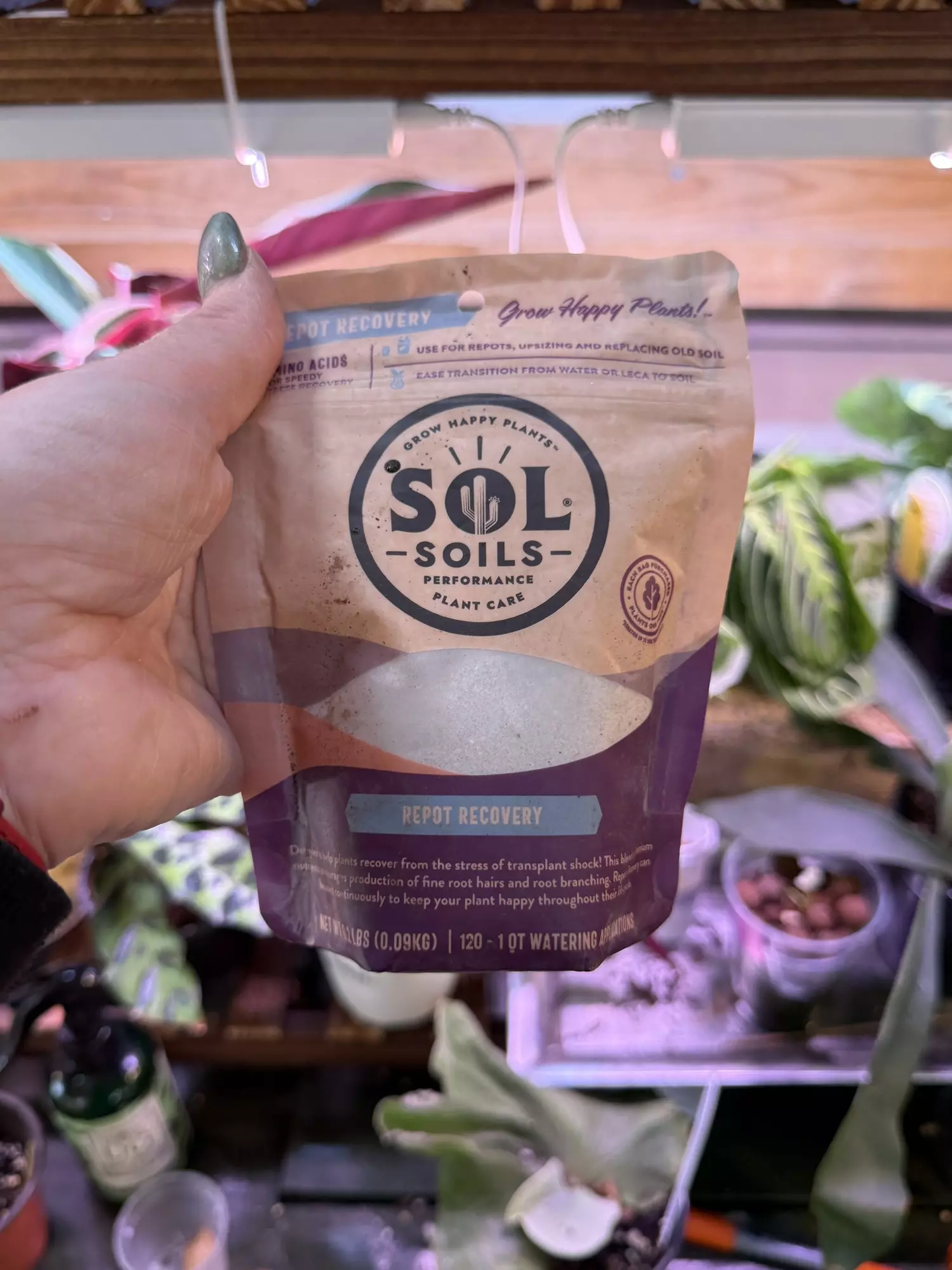 plant/Repot Recovery-0