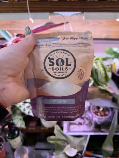 plant/Repot Recovery-0-thumbnail