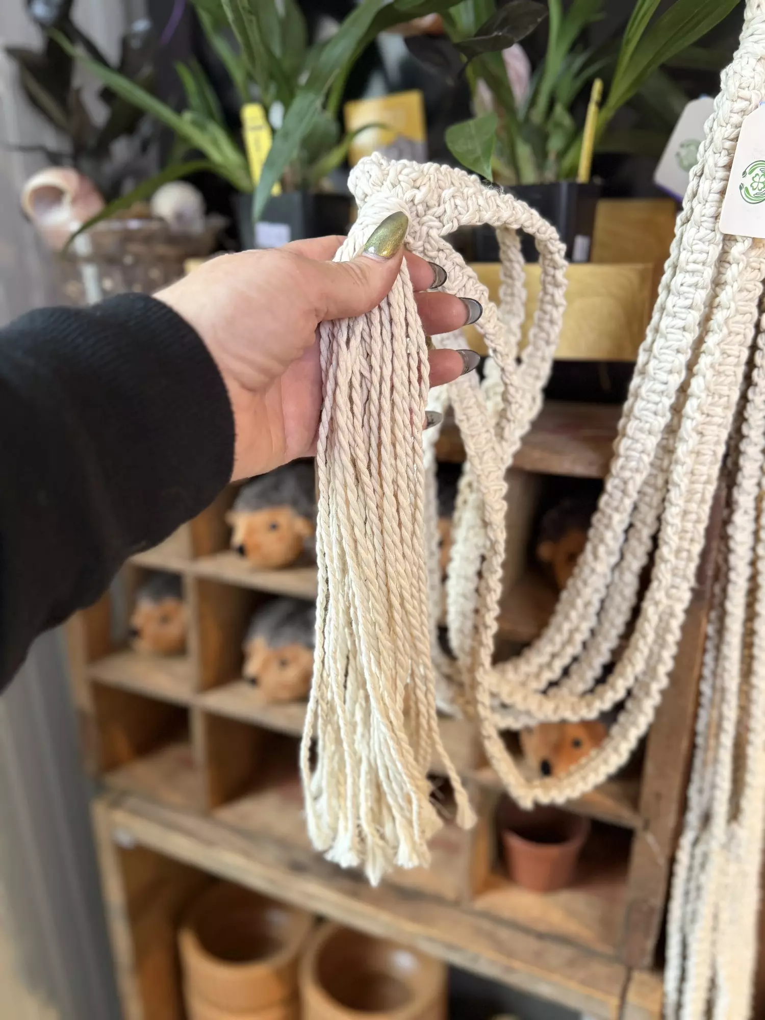 plant/Macrame Hanger for 6” pot-0