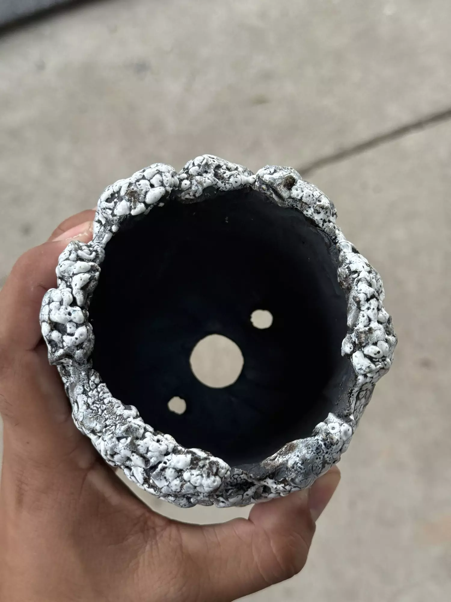 plant/Smooth Coconut 4x4-1