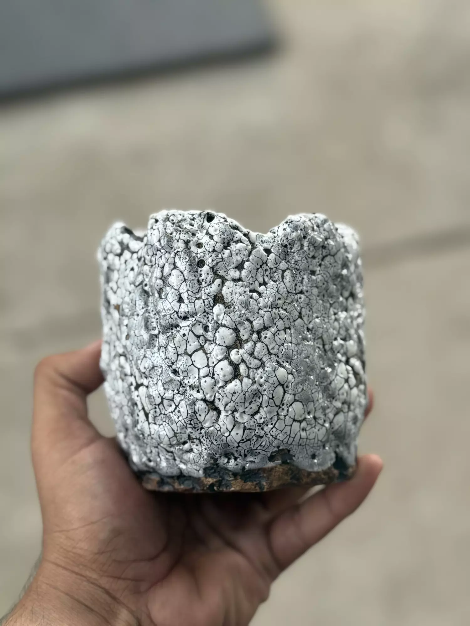 plant/Smooth Coconut 4x4-0