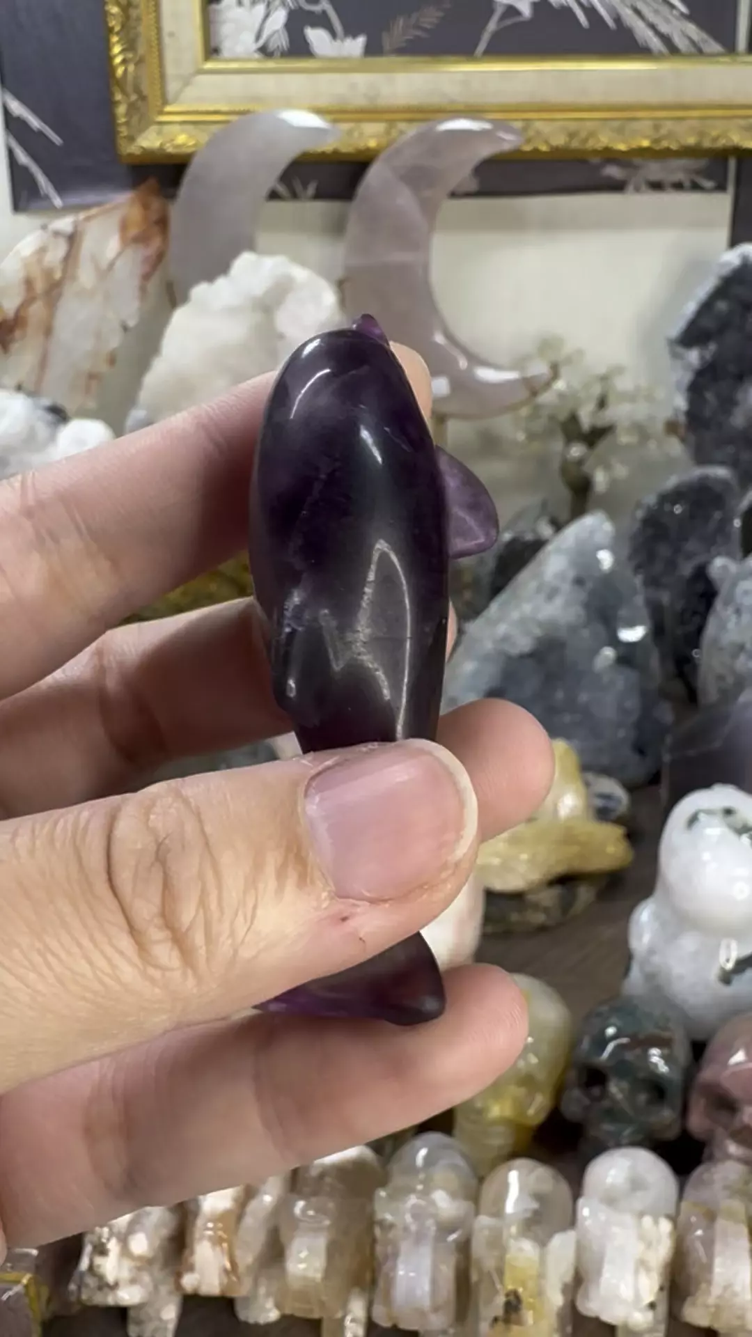 plant/Fluorite Dolphin #10-0