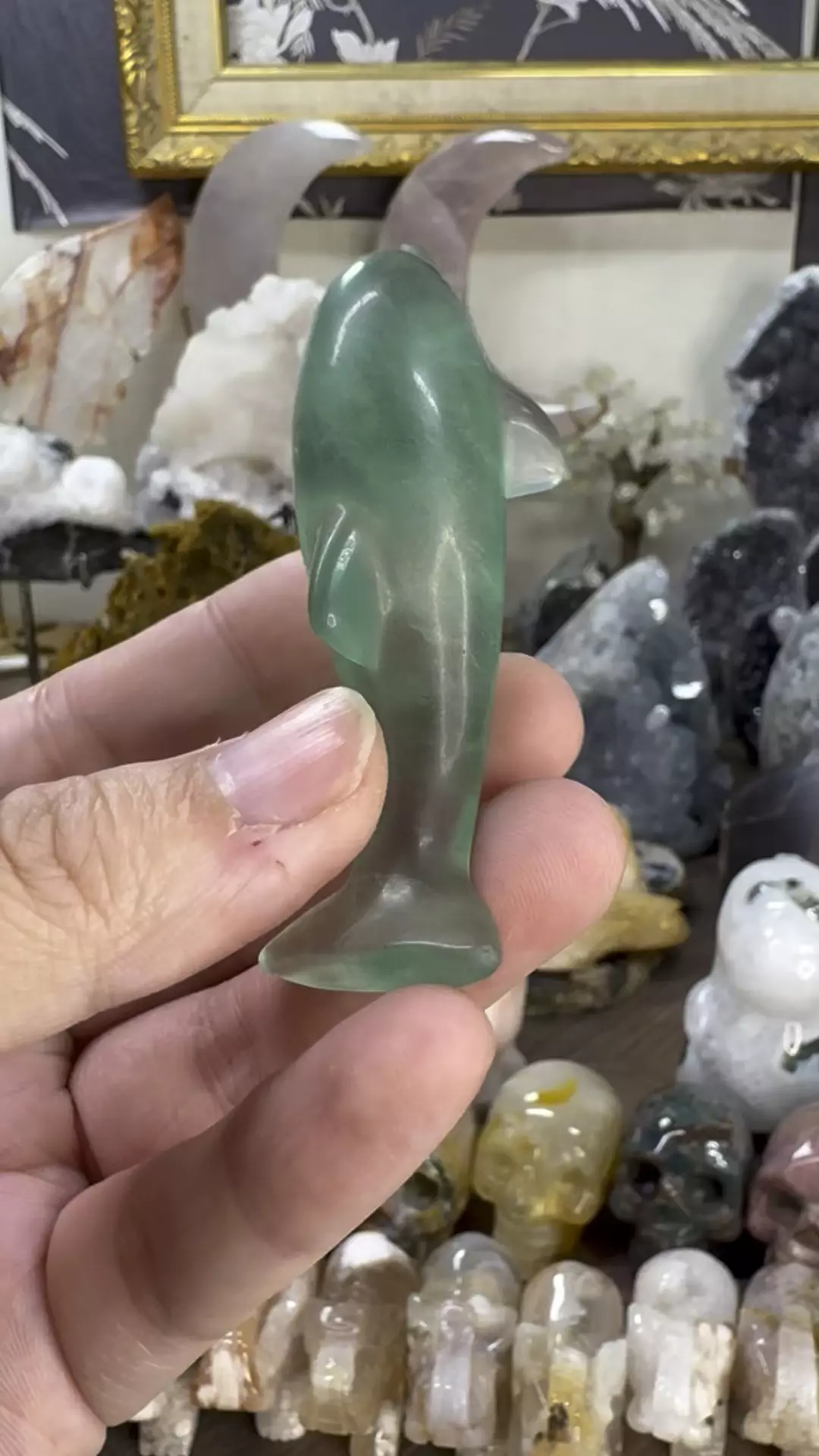 plant/Fluorite Dolphin #2-0