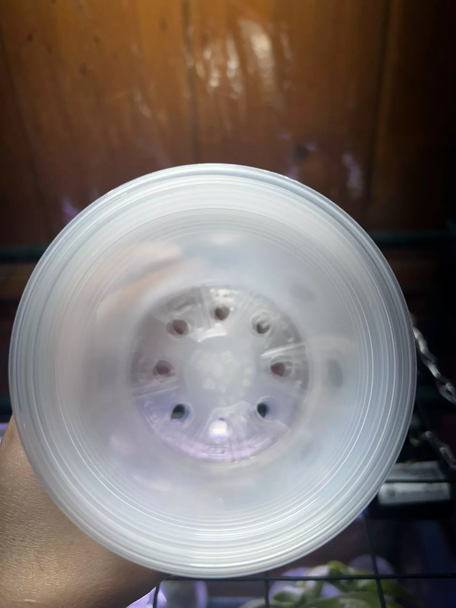 plant/6 pack 4” clear pots add on-2