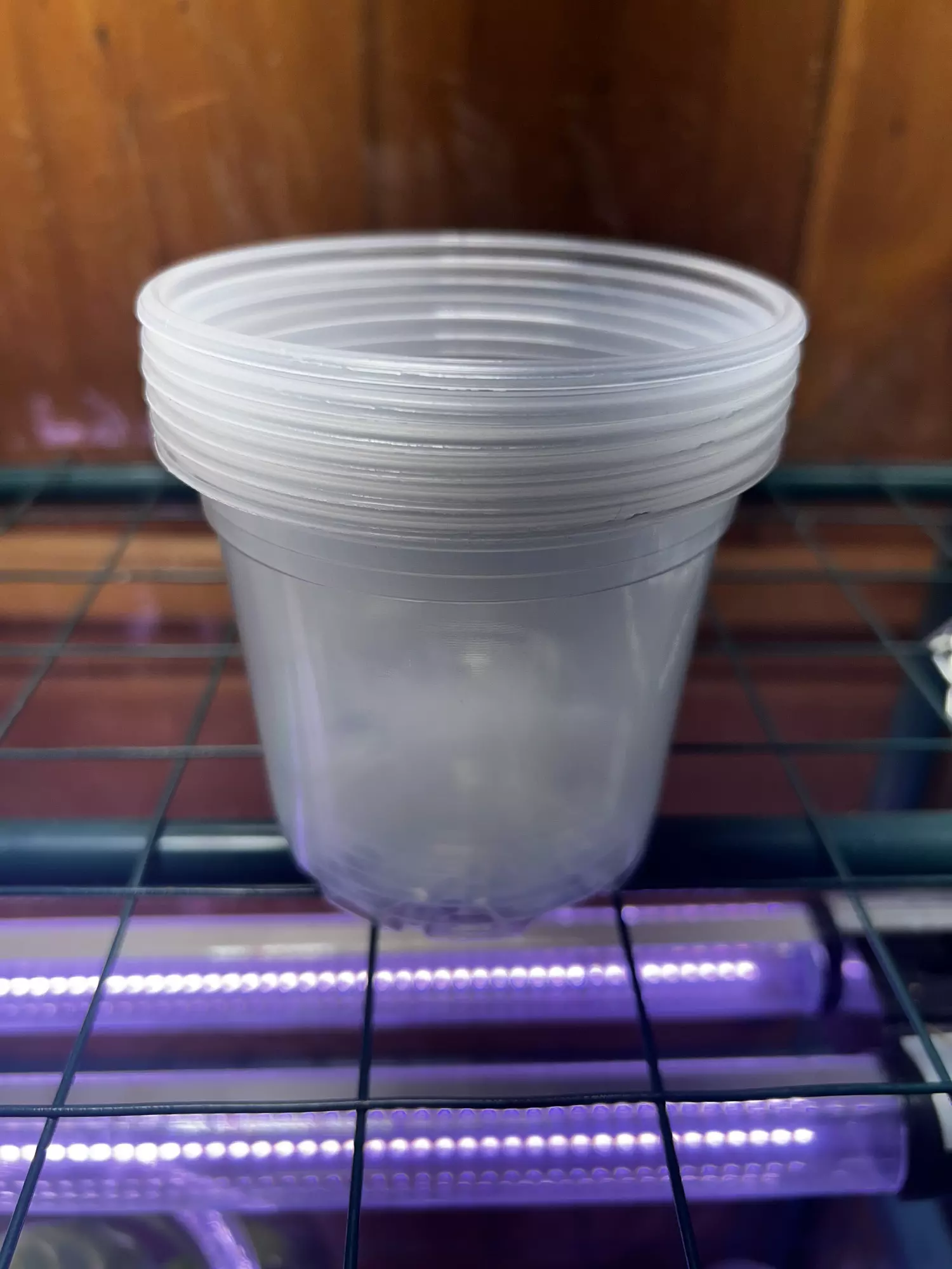 plant/6 pack 4” clear pots add on-0