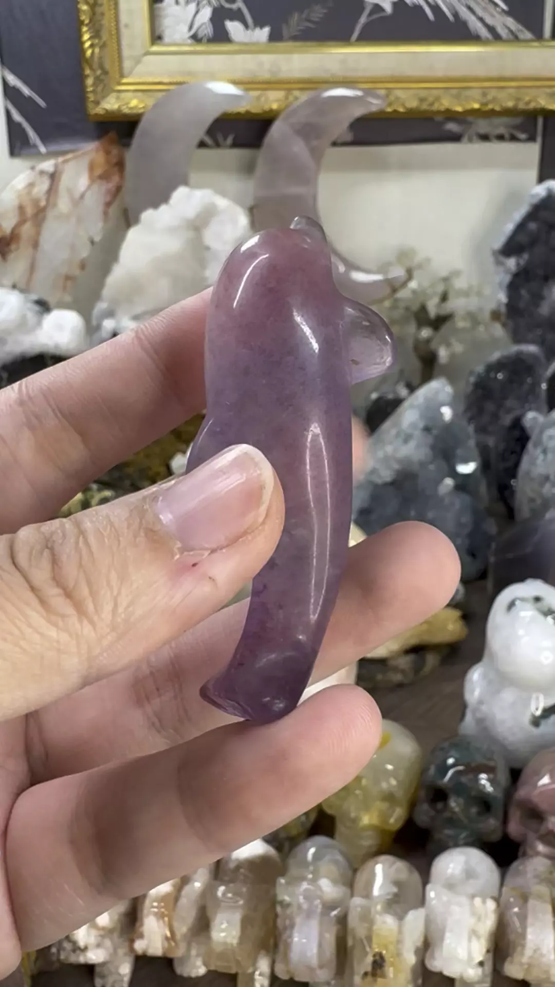 plant/Fluorite Dolphin #8-0