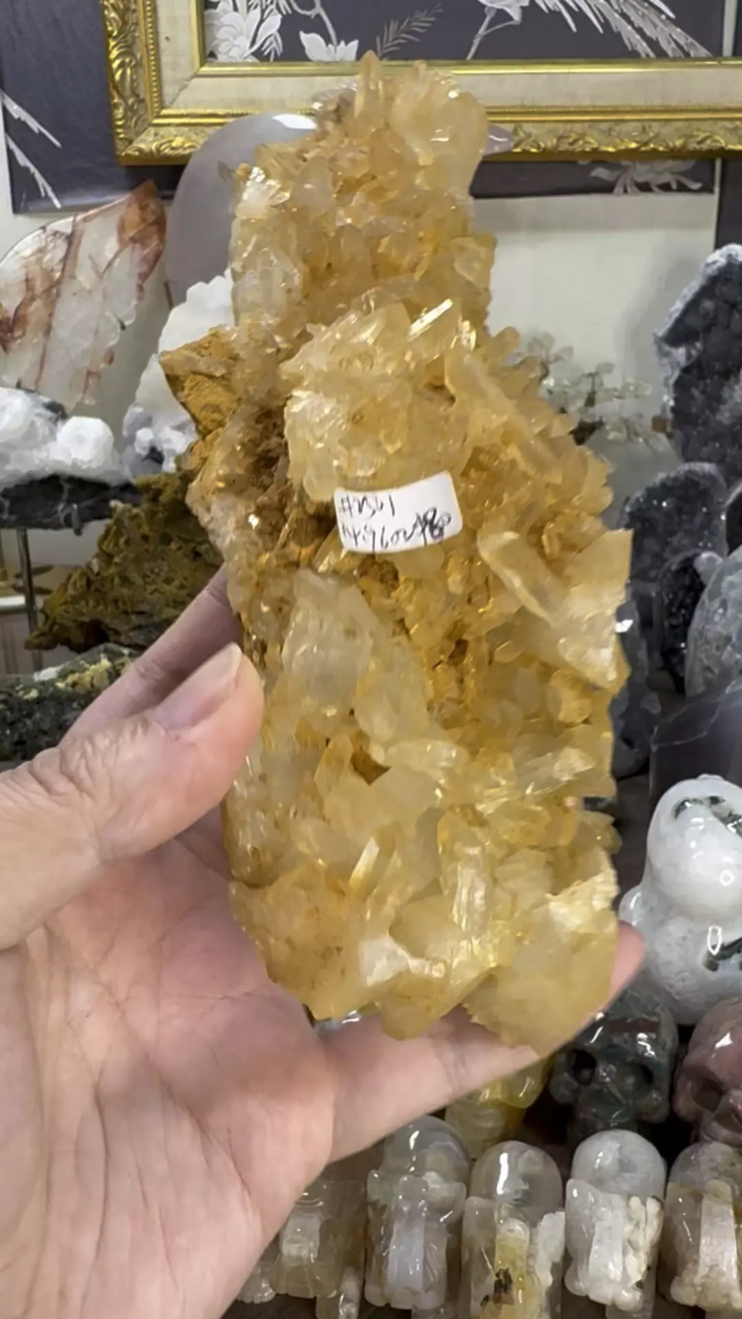 plant/Tangerine Quartz Cluster #7-0