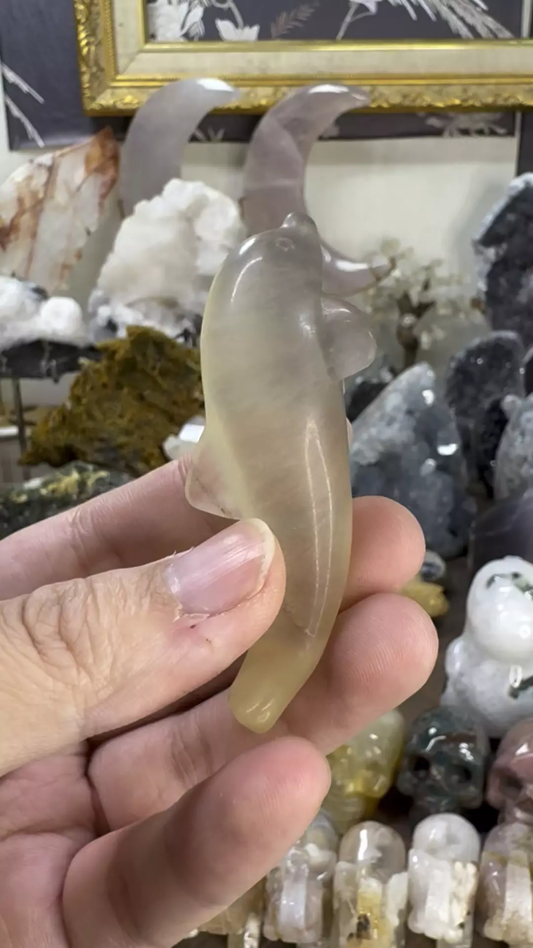 plant/Fluorite Dolphin #3-0