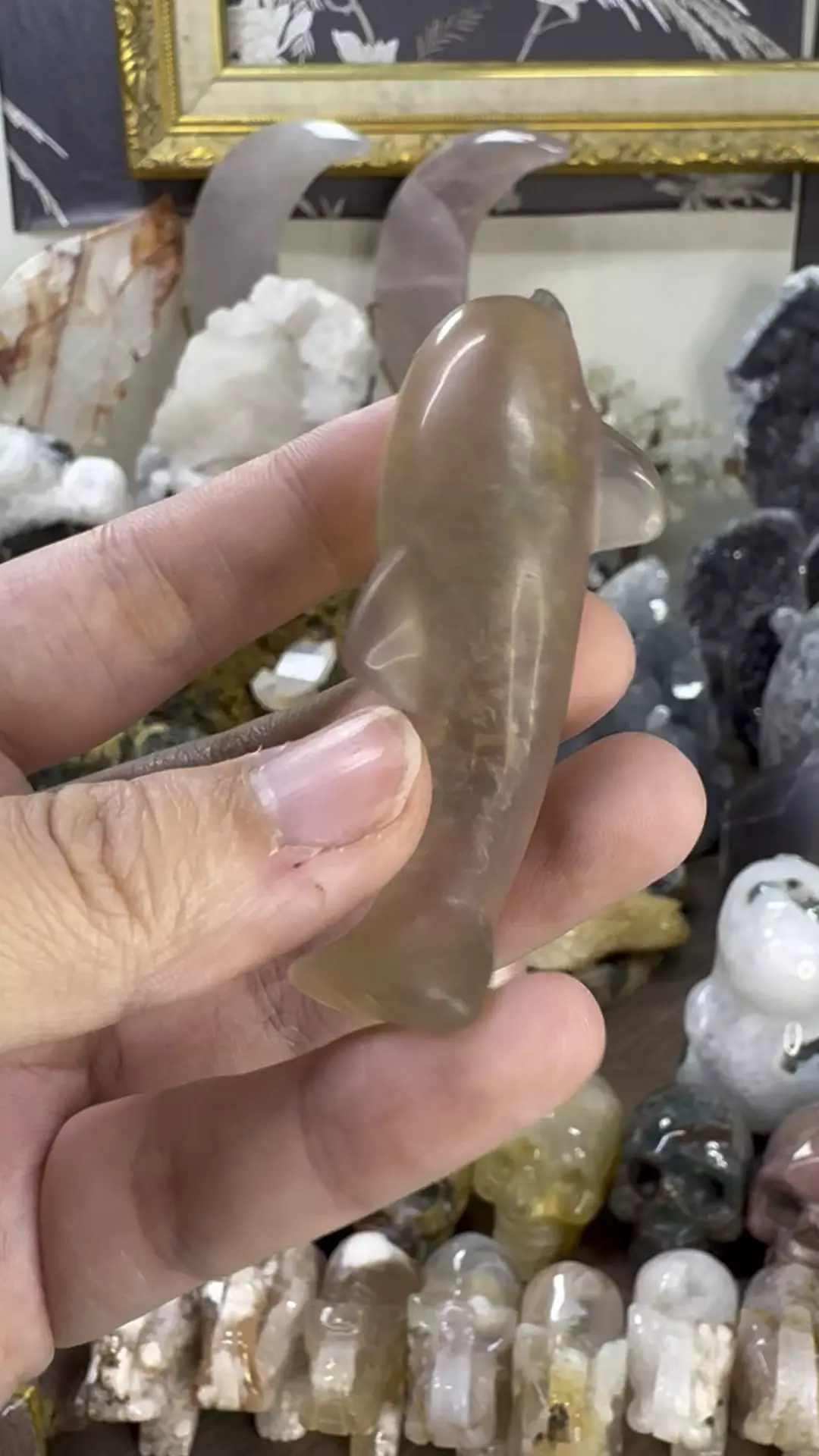 plant/Fluorite Dolphin #7-0