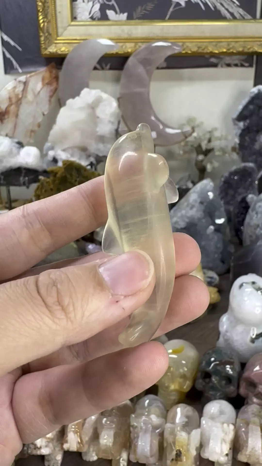 plant/Fluorite Dolphin #4-0