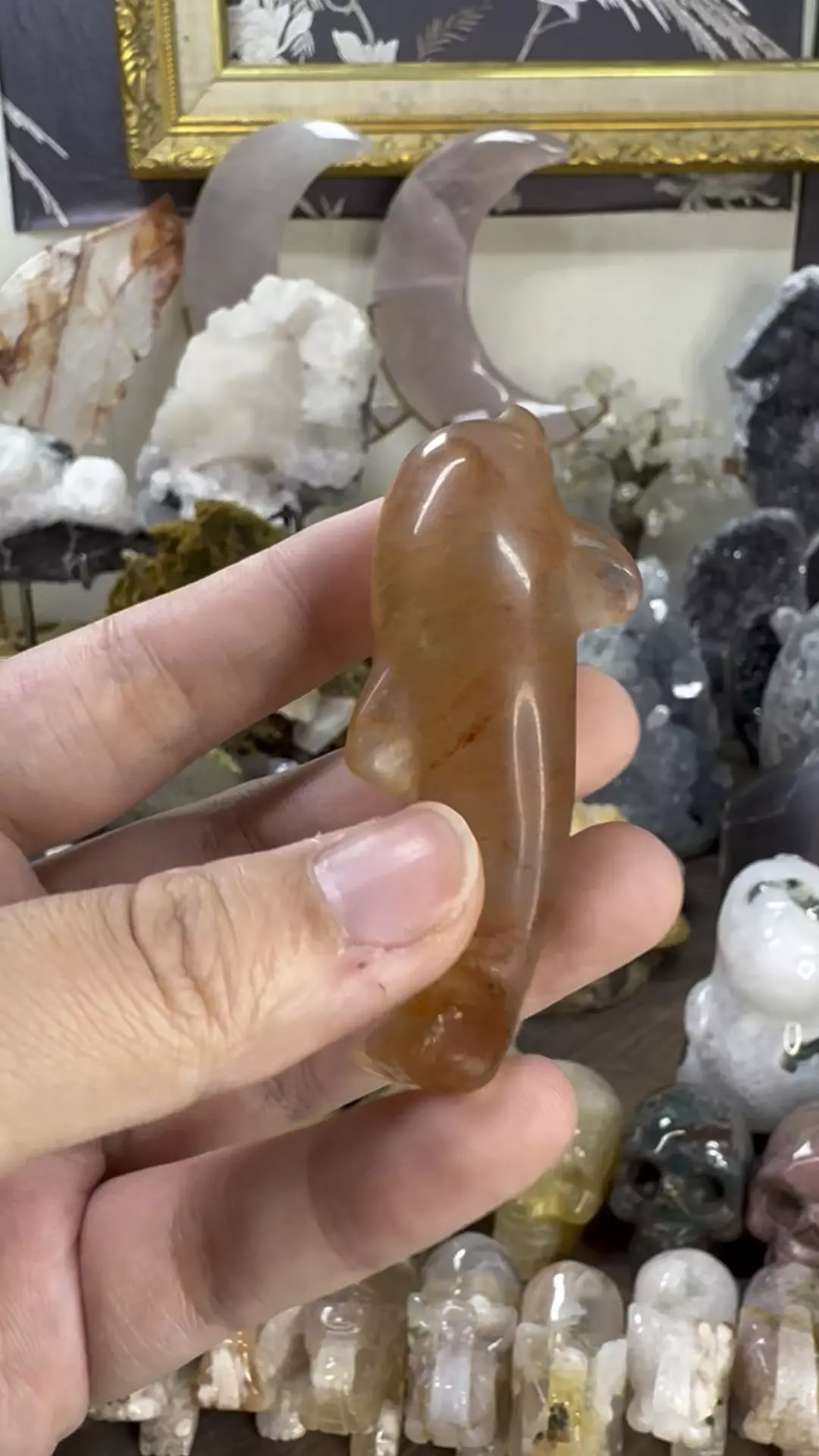 plant/Fluorite Dolphin #9-0