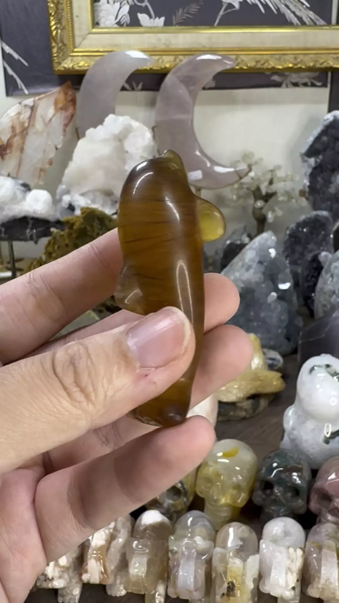 plant/Fluorite Dolphin #5-0