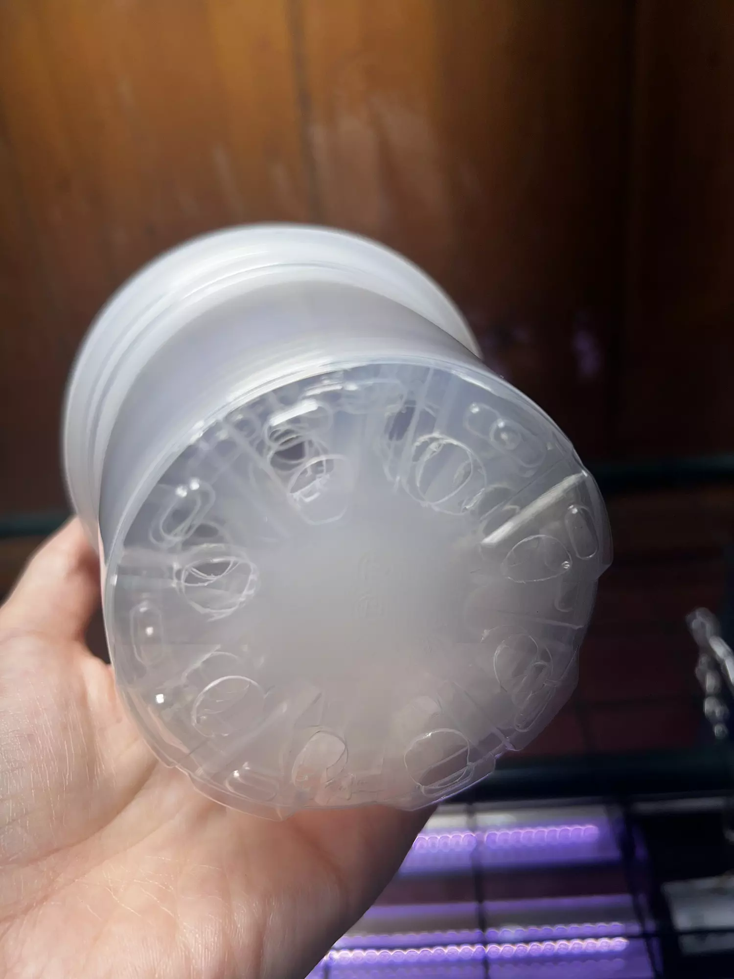 plant/6 pack 4” clear pots add on-1