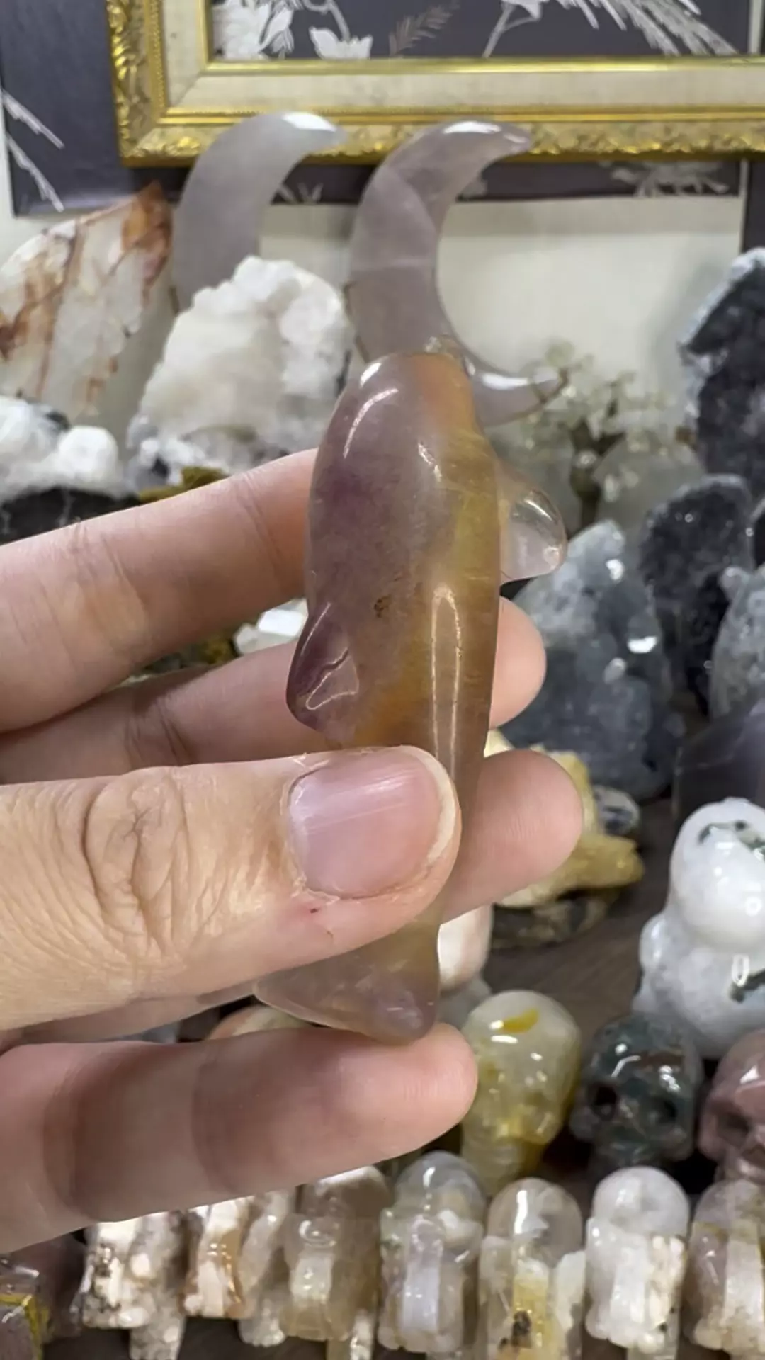 plant/Fluorite Dolphin #6-0