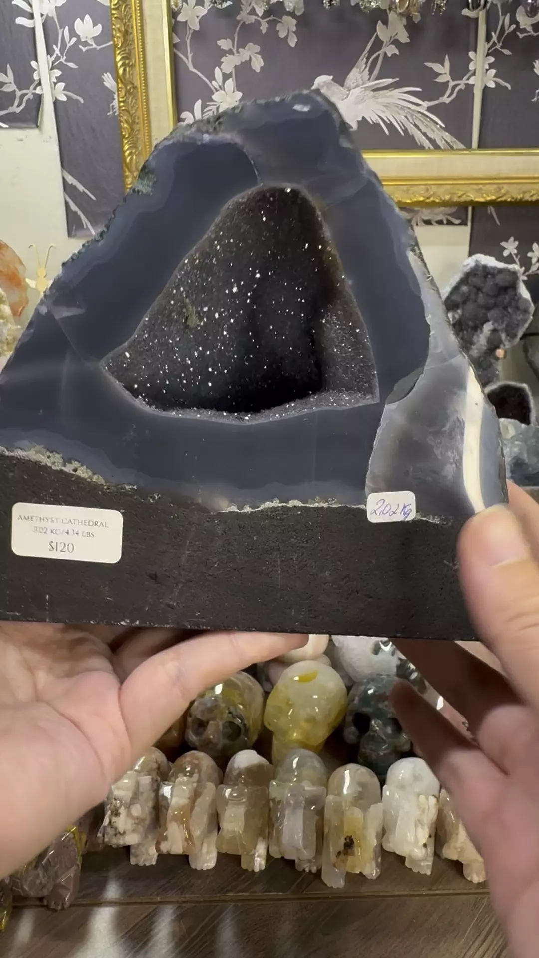 plant/Amethyst Cathedral 4.34 lbs-0