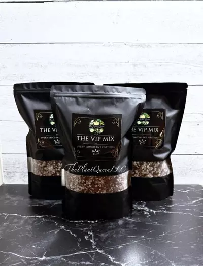 plant/VIP premium custom treefern blend-0-thumbnail