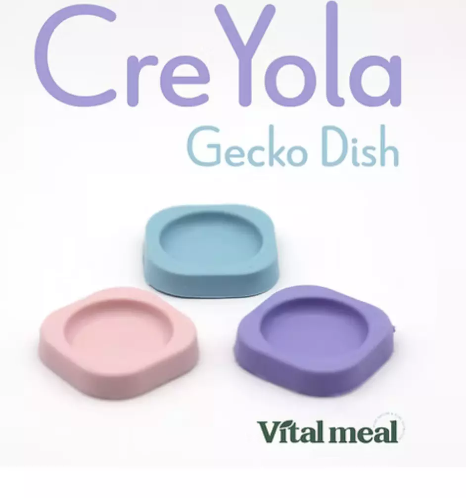 plant/10 pack feeding dishes-0