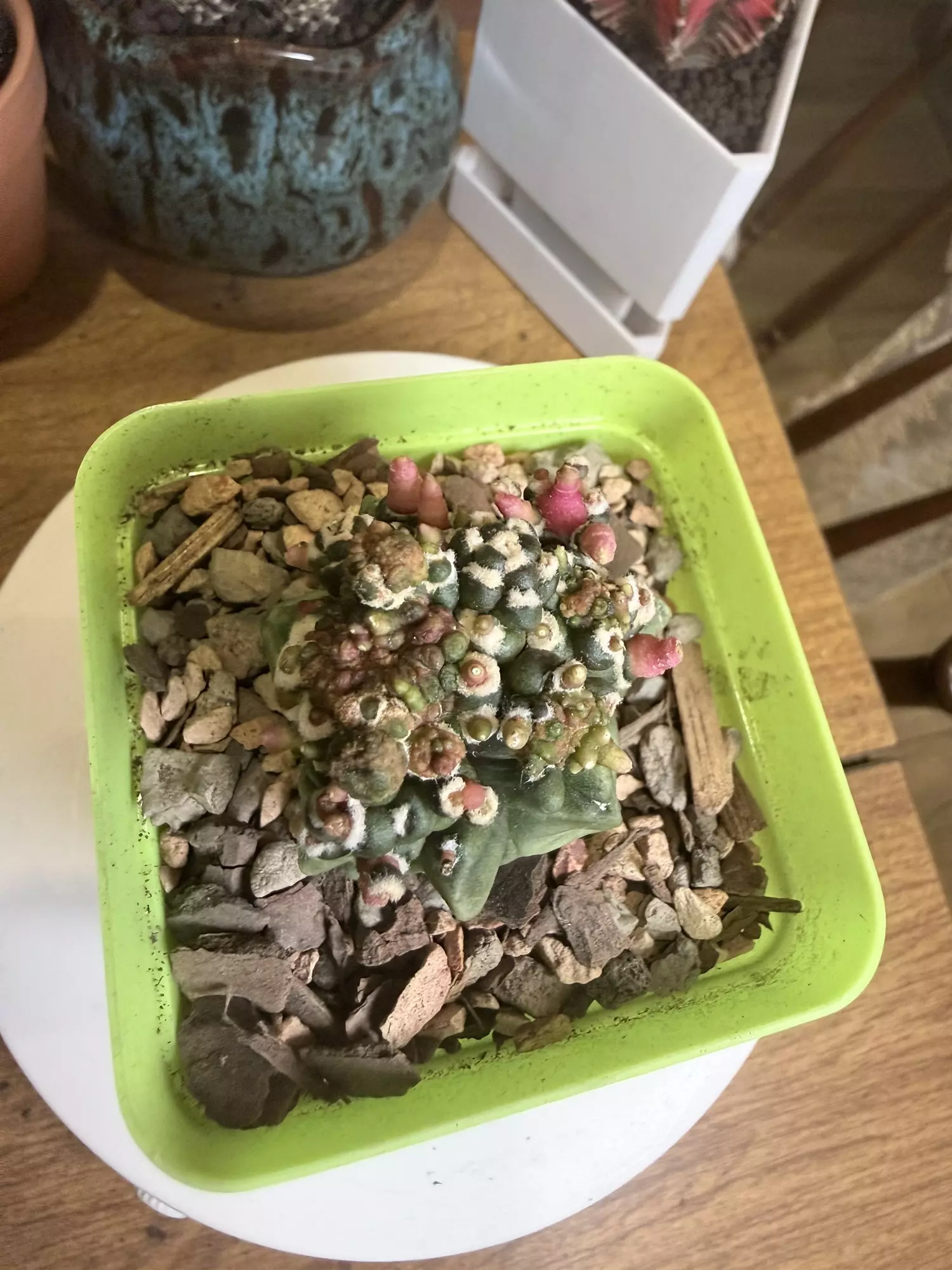 plant/Transformer 1-1