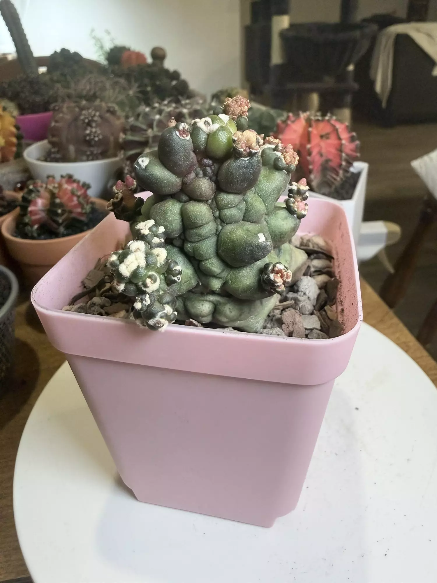 plant/Transformer 2-0