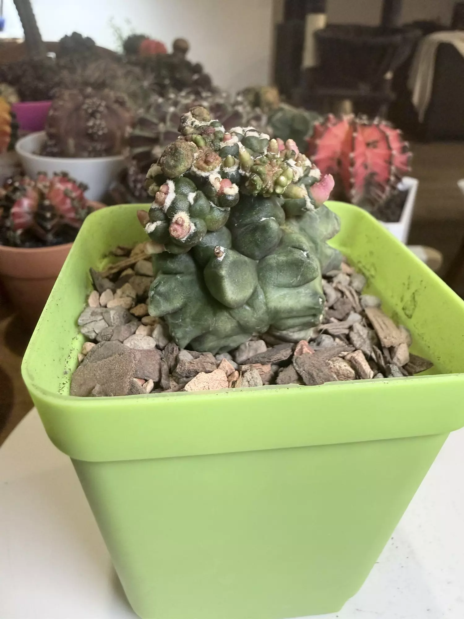 plant/Transformer 1-0