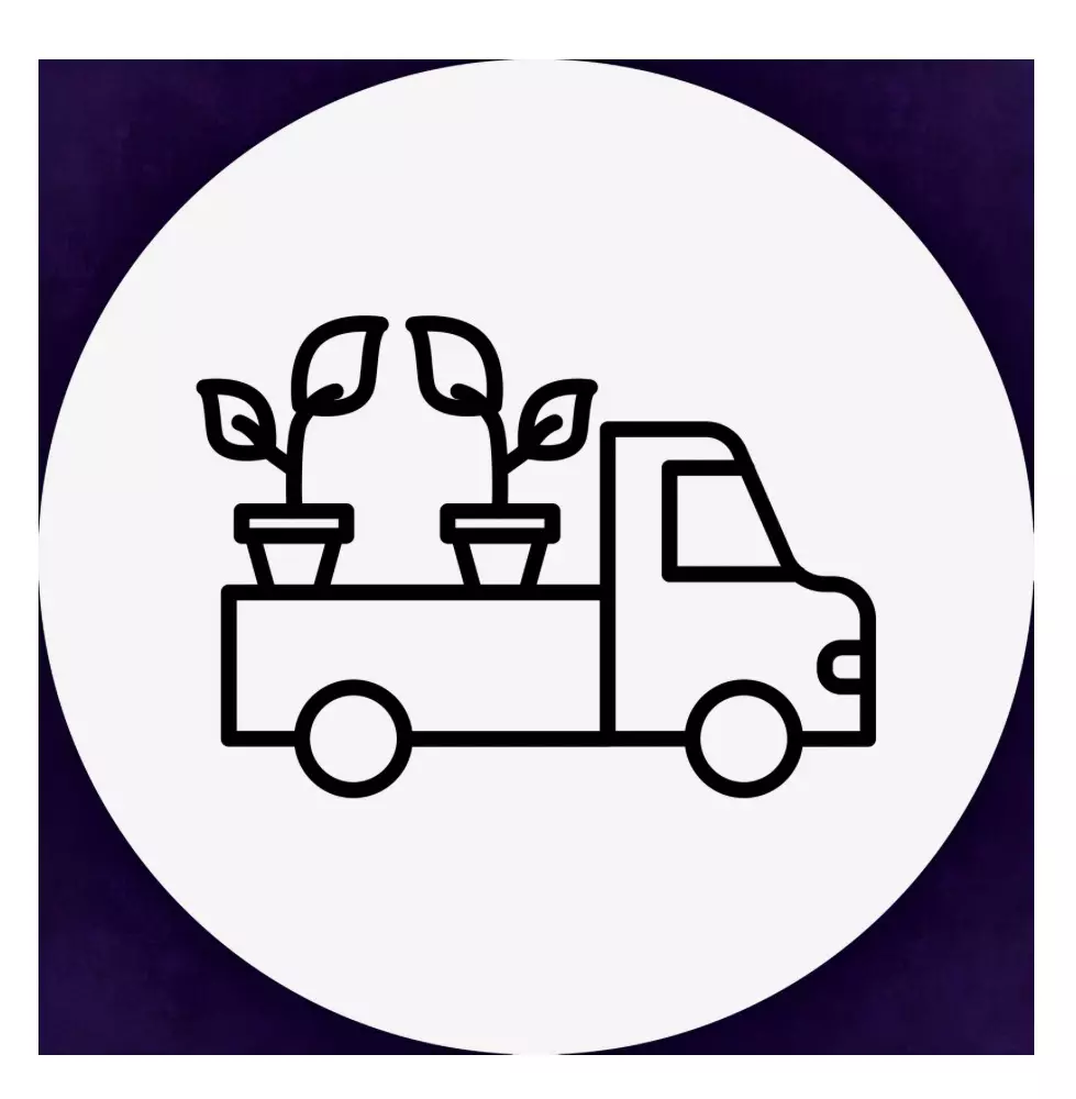 plant/Shipping Upgrade - UPS NEXT DAY-0