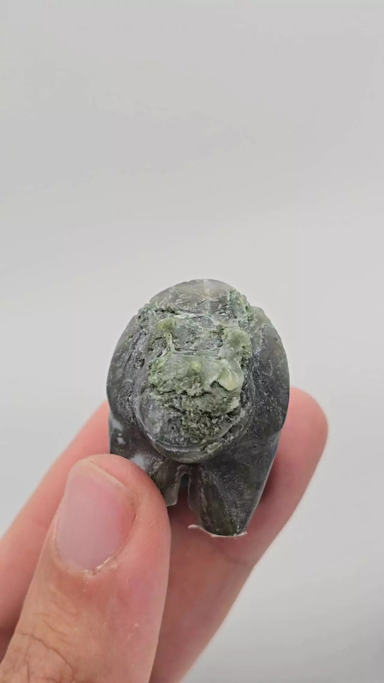 plant/Moss Agate Triceratops from India -0