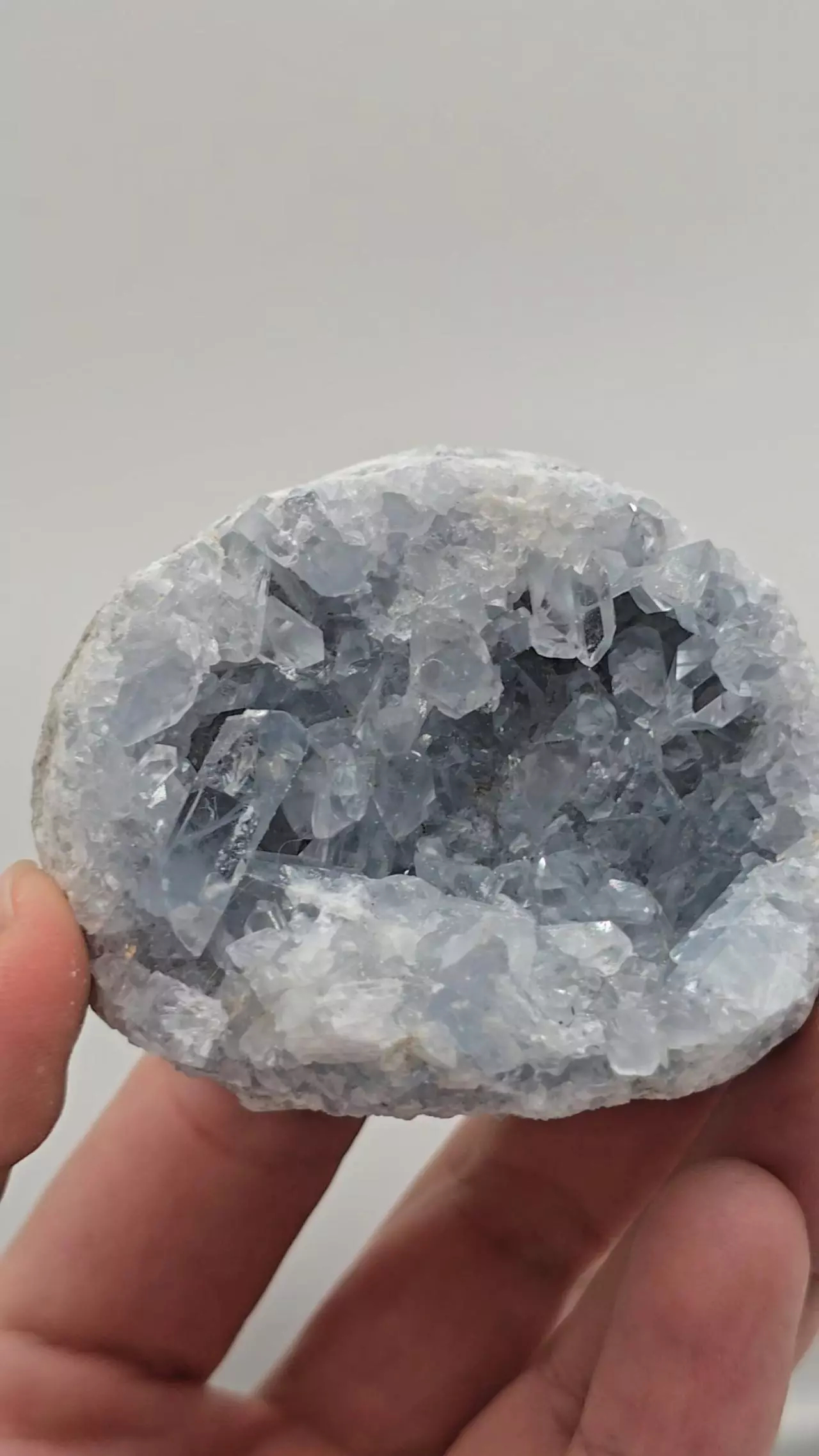 plant/Celestite Cluster from Madagascar -0