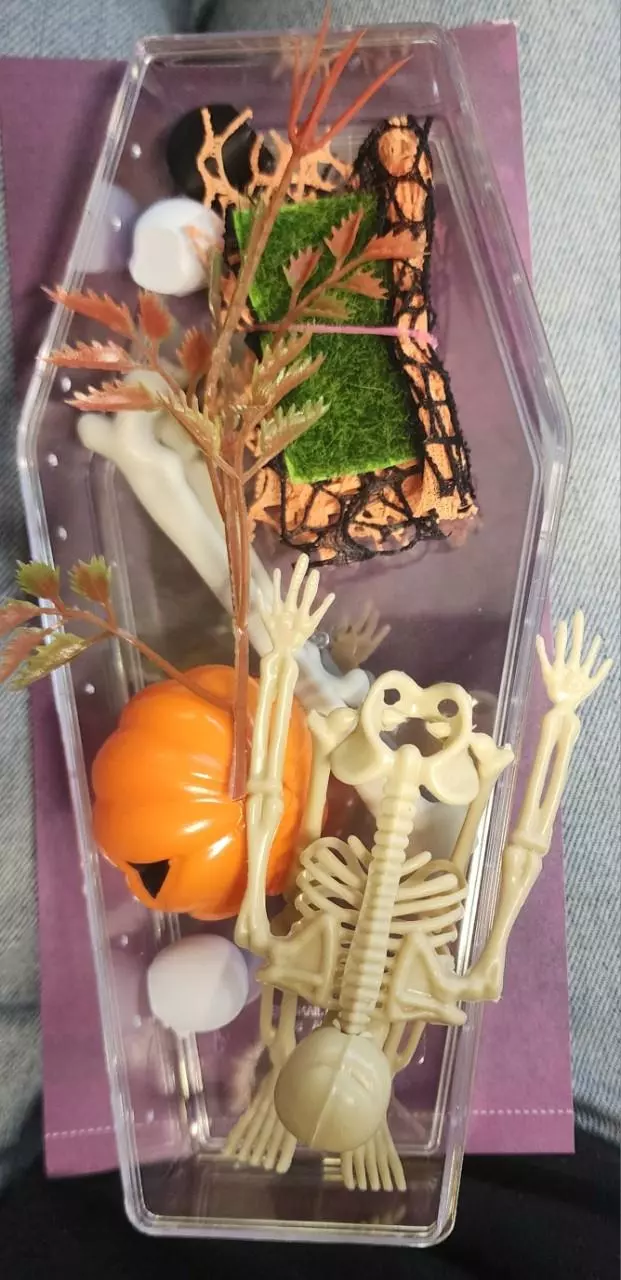 plant/Cutie coffin 1 DIY-0