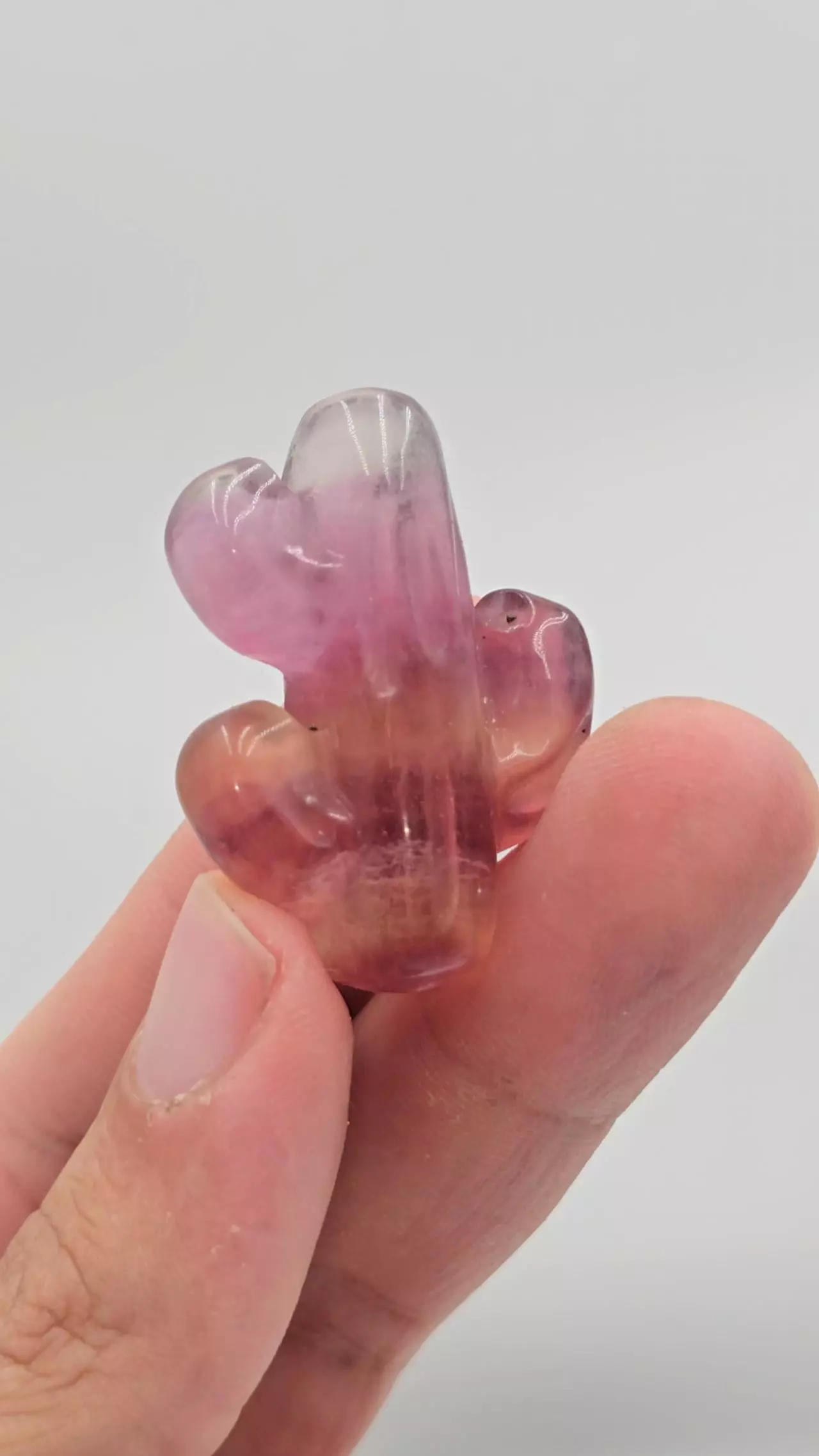 plant/Fluorite Saguaro from China-0