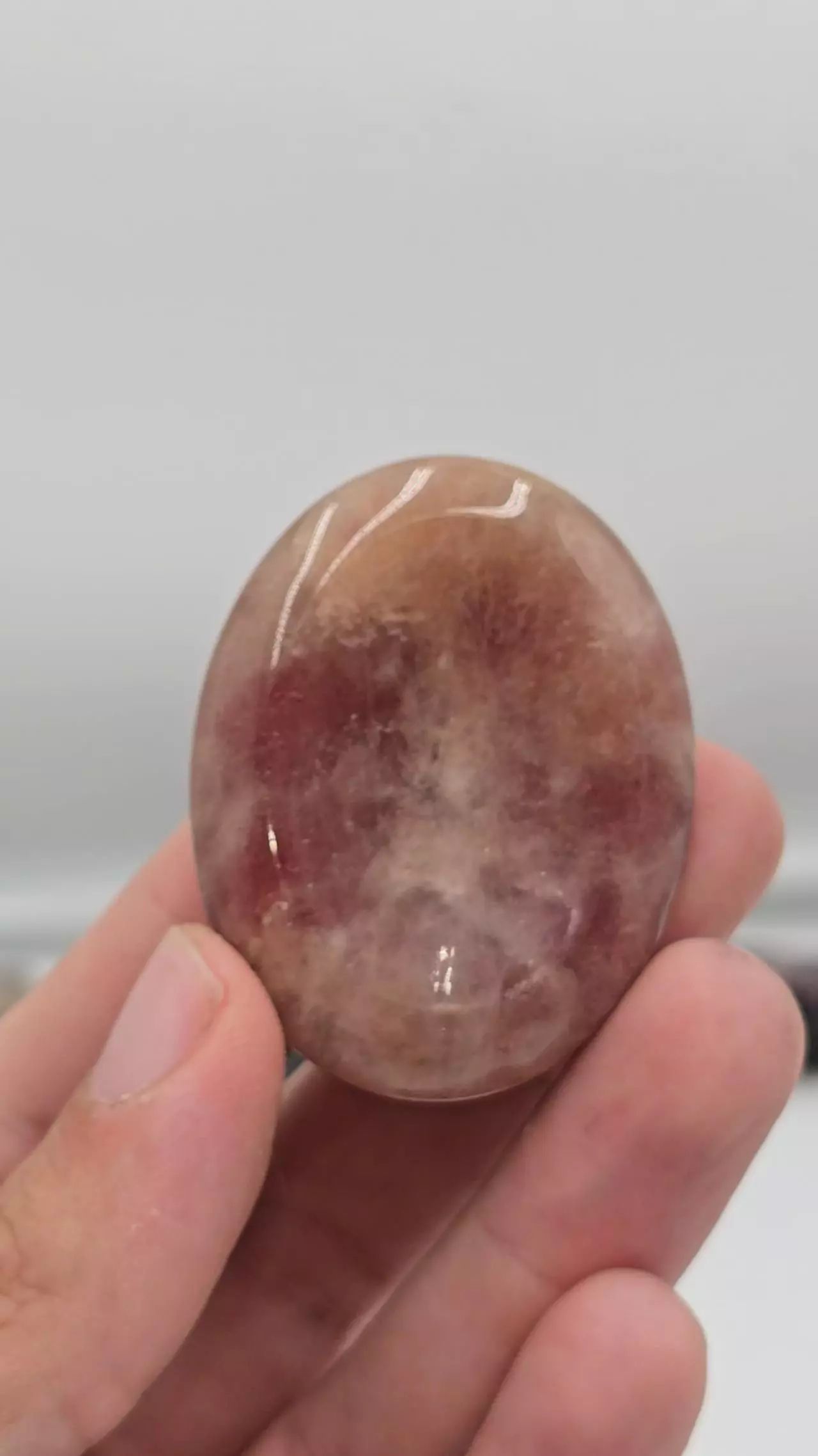 plant/Sunstone Worrystone from India-0