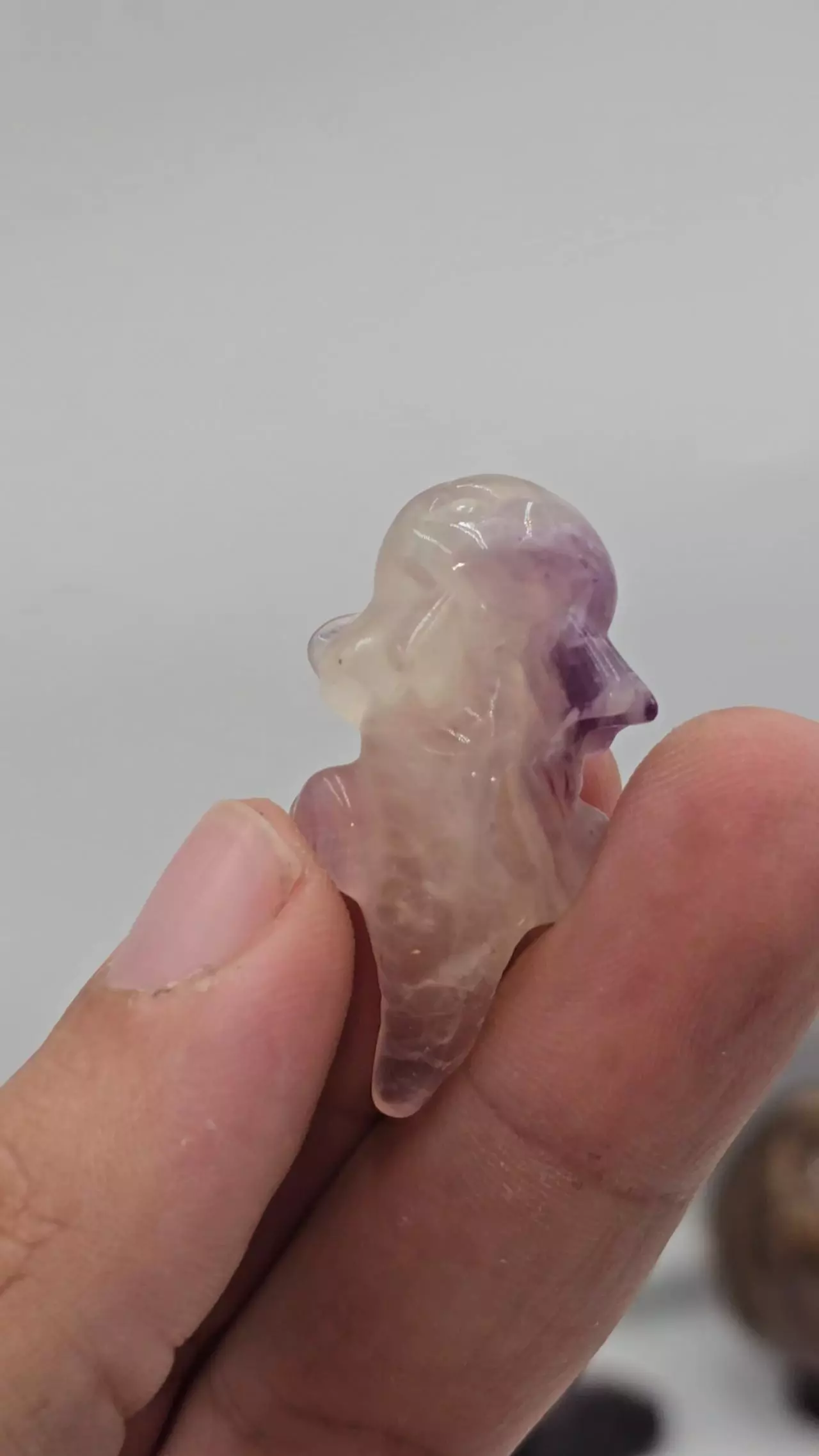 plant/Fluorite Axolotyl from China -0