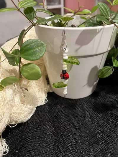 plant/Ladybug pot charm #1-0-thumbnail