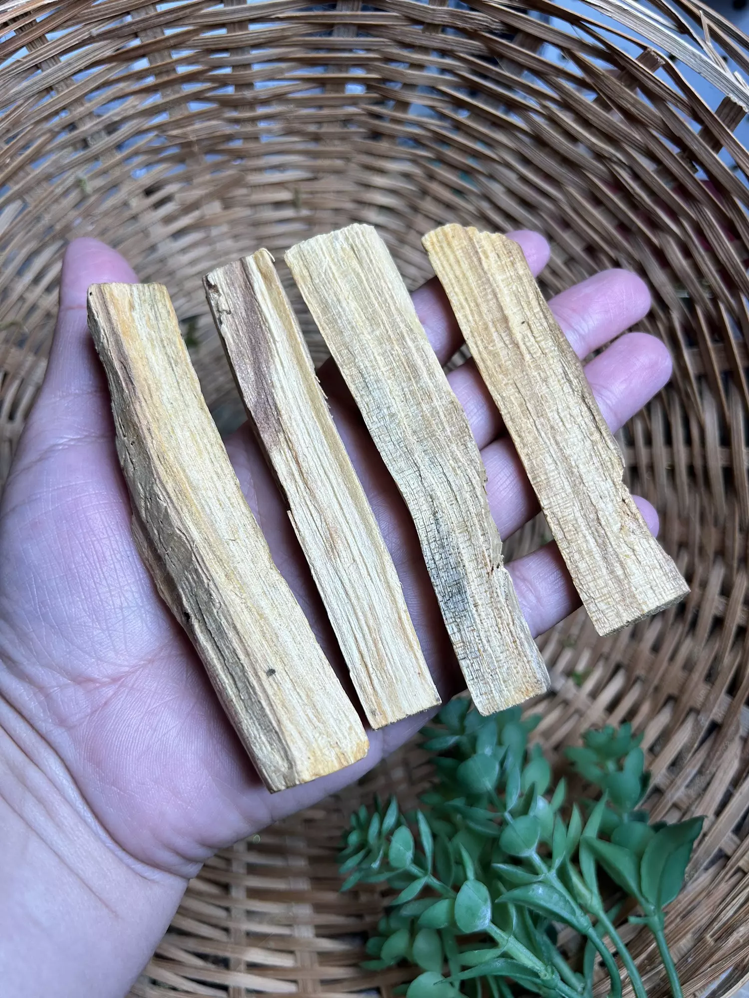 plant/Palo santo sticks (4 sticks)-0