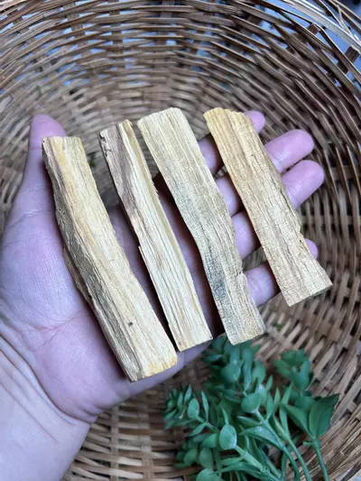 plant/Palo santo sticks (4 sticks)-0-thumbnail