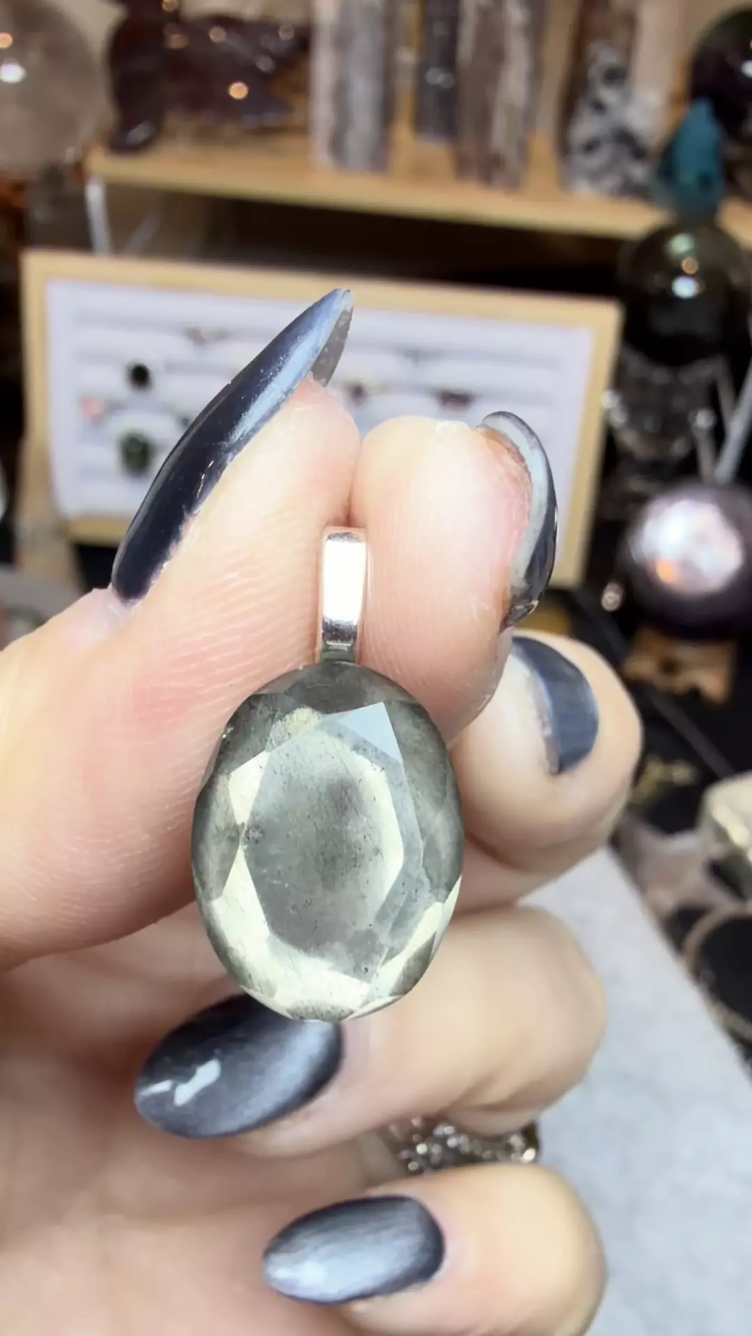 plant/pyrite bundle-3