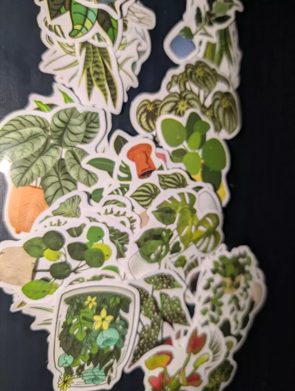 plant/Random plant sticker-0